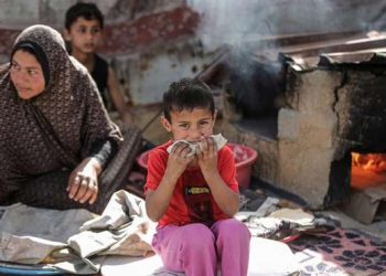 ONU Suspende Distribución de Alimentos en Rafah por Razones de Seguridad