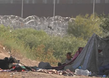 Preocupación por la Seguridad de Migrantes en la Frontera México-EE.UU.