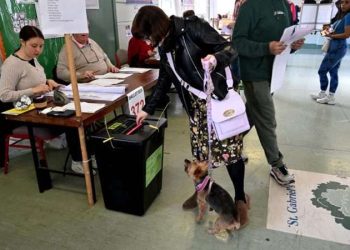 Elecciones Europeas: Irlanda y República Checa Abren las Urnas