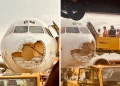 Tormenta de granizo daña el morro de un avión Airbus A320 de Austrian Airlines