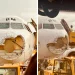 Tormenta de granizo daña el morro de un avión Airbus A320 de Austrian Airlines