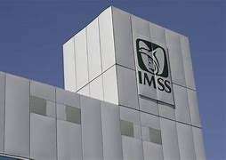 IMSS reporta la pérdida de más de 25,000 empleos en mayo de 2024