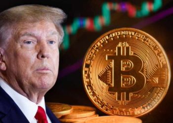 Trump lanza plataforma de criptomonedas para desafiar a “grandes bancos y élites”