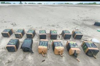 Sedena incauta aeronave con más de 500 kilos de cocaína en Oaxaca