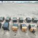 Sedena incauta aeronave con más de 500 kilos de cocaína en Oaxaca