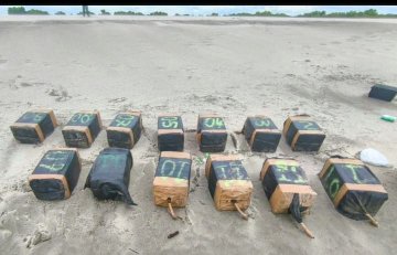 Sedena incauta aeronave con más de 500 kilos de cocaína en Oaxaca