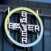 Bayer despide a 5.500 empleados en 2024, en su mayoría directivos