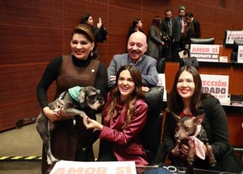 Senado aprueba reforma constitucional para erradicar el maltrato animal