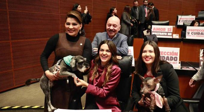 Senado aprueba reforma constitucional para erradicar el maltrato animal