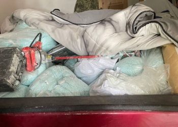 Histórico decomiso de fentanilo en Sinaloa: más de una tonelada asegurada