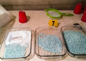 Sedena y el Cártel de Sinaloa: estudiantes de química reclutados para fabricar fentanilo