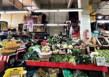 Detectan contaminación por cadmio en alimentos de la Ciudad de México