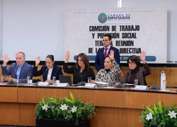 Comisión del trabajo, Cámara de Diputados