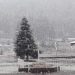 ¿Dónde habrá nieve o aguanieve este 24 de diciembre en México?