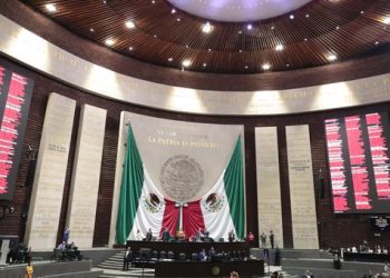 Diputados Aprueban el presupuesto de 2025 con Críticas por Recortes a Salud