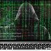 Desmantelan red criminal que estafó más de 400.000 euros con datos de la dark web