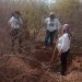 Descubren 35 fosas clandestinas en Sonora; estiman más de 50 víctimas