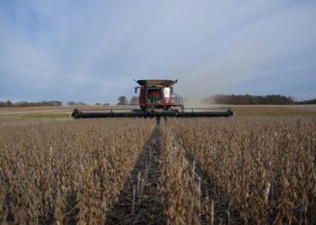 SAT otorga estímulos fiscales a productores del campo y transporte en 2025