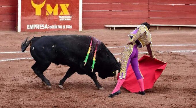 Jueza prohíbe el uso de instrumentos de maltrato en corridas de toros