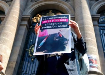 Proponen prohibir corridas de toros en CDMX y transformar plazas en espacios culturales