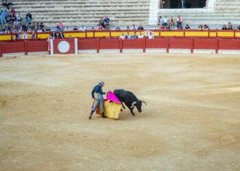 CDMX avanza en la aprobación de corridas de toros sin violencia