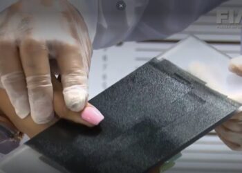 Banco de Datos Forenses, sin rumbo ni resultados en México