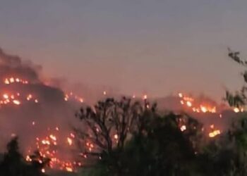 Incendio forestal en Tepoztlán amenaza viviendas; zona de riesgo ya fue controlada