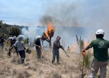 Combaten incendio en Atltzayanca con más de 400 brigadistas y apoyo aéreo