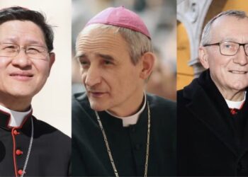 La lista de posibles sucesores del Papa Francisco divide a progresistas y conservadores