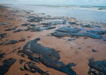 Cierran playas en Tabasco por derrame de crudo; ASEA exige a Pemex aclarar el incidente