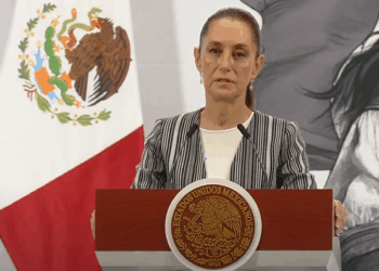 Sheinbaum habla sobre violencia, CNTE y avances ferroviarios en su mañanera