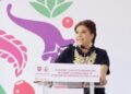 CDMX activa plan de lluvias con inversión millonaria, anuncia Clara Brugada