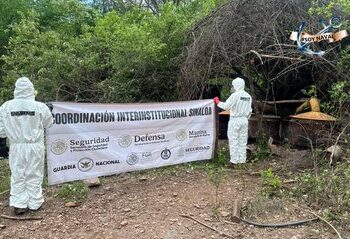 Desmantelan narcolaboratorio valuado en 81 millones de pesos en Sinaloa