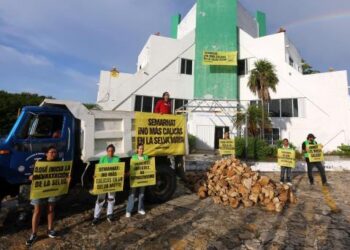 Greenpeace denuncia a Semarnat por autorizar destrucción de la selva en proyectos del Tren Maya
