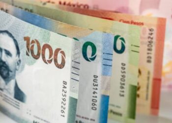 Hogares aportan 34.2% al PIB en el primer trimestre de 2025: Inegi