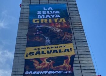 Escalan la Estela de Luz y despliegan manta por la defensa de la Selva Maya