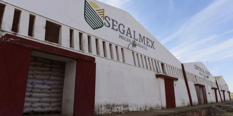Sheinbaum promete esclarecer corrupción en Segalmex e irregularidades en el Insabi