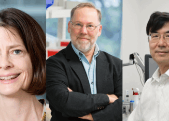 Científicos descubren cómo el sistema inmunitario se protege sin atacarse: ganan el Nobel de Medicina 2025