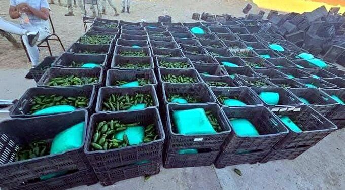 Ejército decomisa más de una tonelada de drogas ocultas en cajas de chile en Sonora