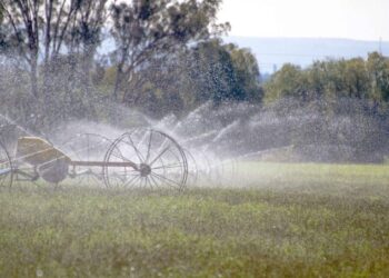 Gobierno lanza programa nacional para regularizar el uso del agua en el campo mexicano