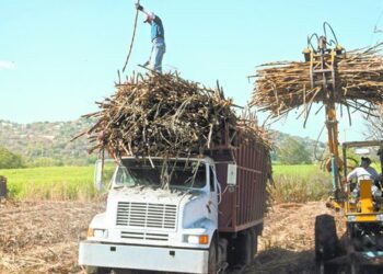 Cañeros respaldan nuevo impuesto a importaciones de azúcar y se deslindan de bloqueos