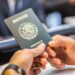 SRE declara desierta la licitación para pasaportes y anuncia nuevo proceso