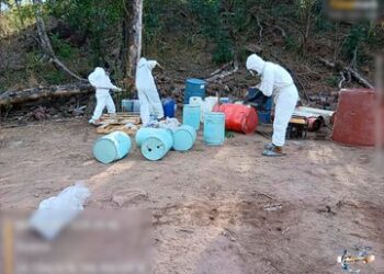 Operativos navales frenan producción de metanfetamina en Sinaloa