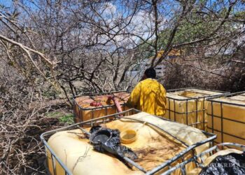 Denuncias ciudadanas permitieron a Pemex asegurar más de 342 mil litros de combustible en 2025