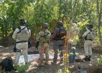 Localizan fosa clandestina con seis cuerpos en Paraíso, Tabasco