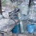 Marina desmantela dos laboratorios clandestinos en Durango y asegura droga y precursores