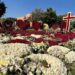 Tumba de “El Mencho” en Zapopan se llena de coronas y flores mientras presuntos halcones vigilan el panteón