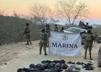 Operativos en Sinaloa: aseguran armas, casi 2 mil cartuchos y destruyen plantíos de marihuana
