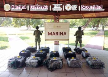 Golpe al narco en Michoacán: Marina incauta 650 kg de cocaína y detiene a seis personas