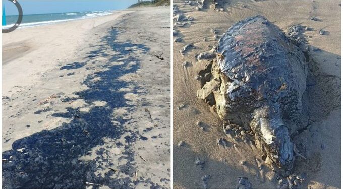 Derrame de hidrocarburos en el sur de Veracruz provoca crisis ambiental y social; comunidades indígenas denuncian “etnocidio”